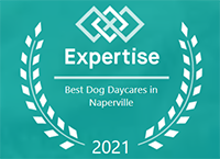 2021 Expertise Award