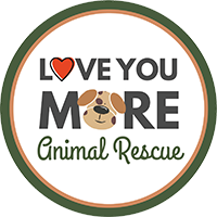 Love You More Animal Rescue