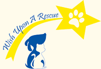 Wish Upon A Rescue